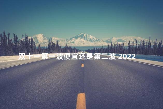 双十一第一波便宜还是第二波 2022年双十一第二波会比第一波强吗